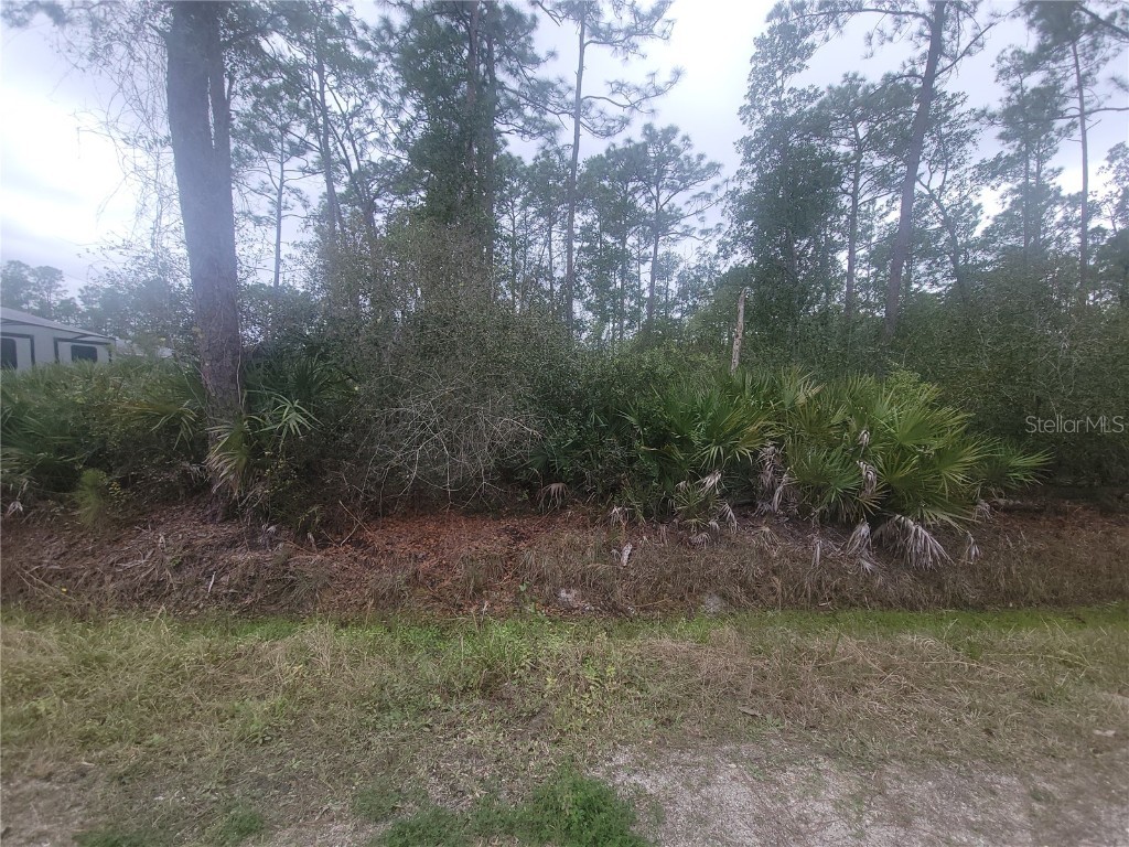 11th Avenue Deland FL 32724 V4940922 image1