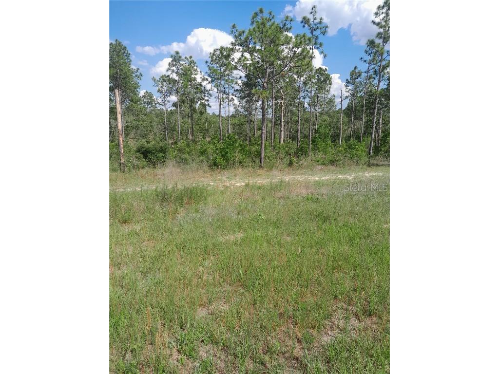 121 State Rd Morriston FL 32668 G5082634 image1