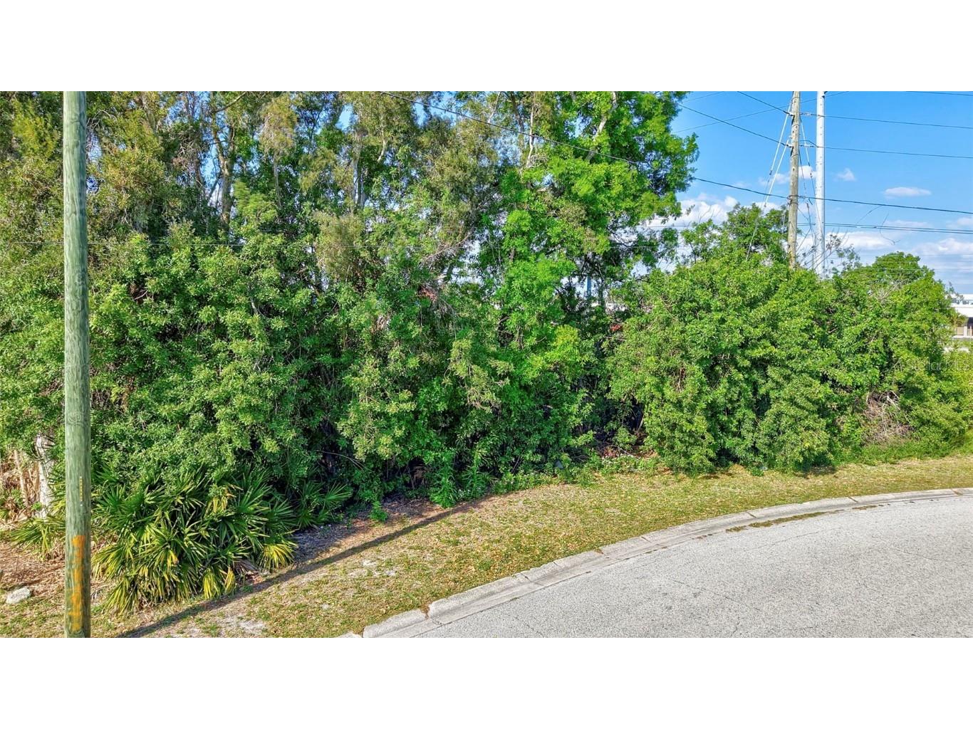 122nd Avenue Largo FL 33773 TB8368264 image5