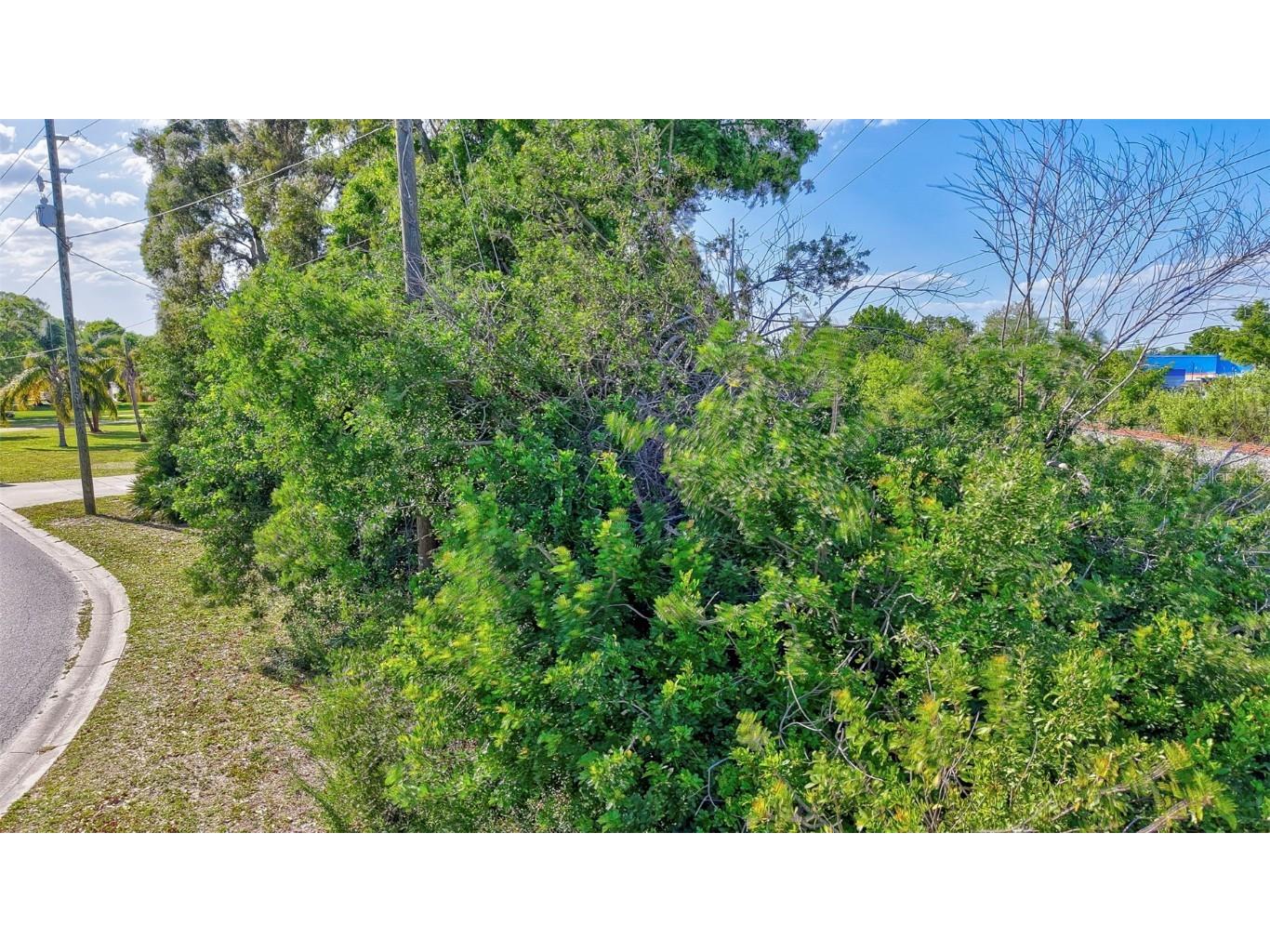 122nd Avenue Largo FL 33773 TB8368264 image6