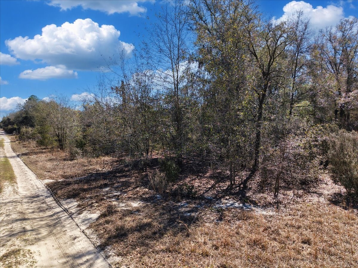 126th St Bronson FL 32621 GC538574 image13