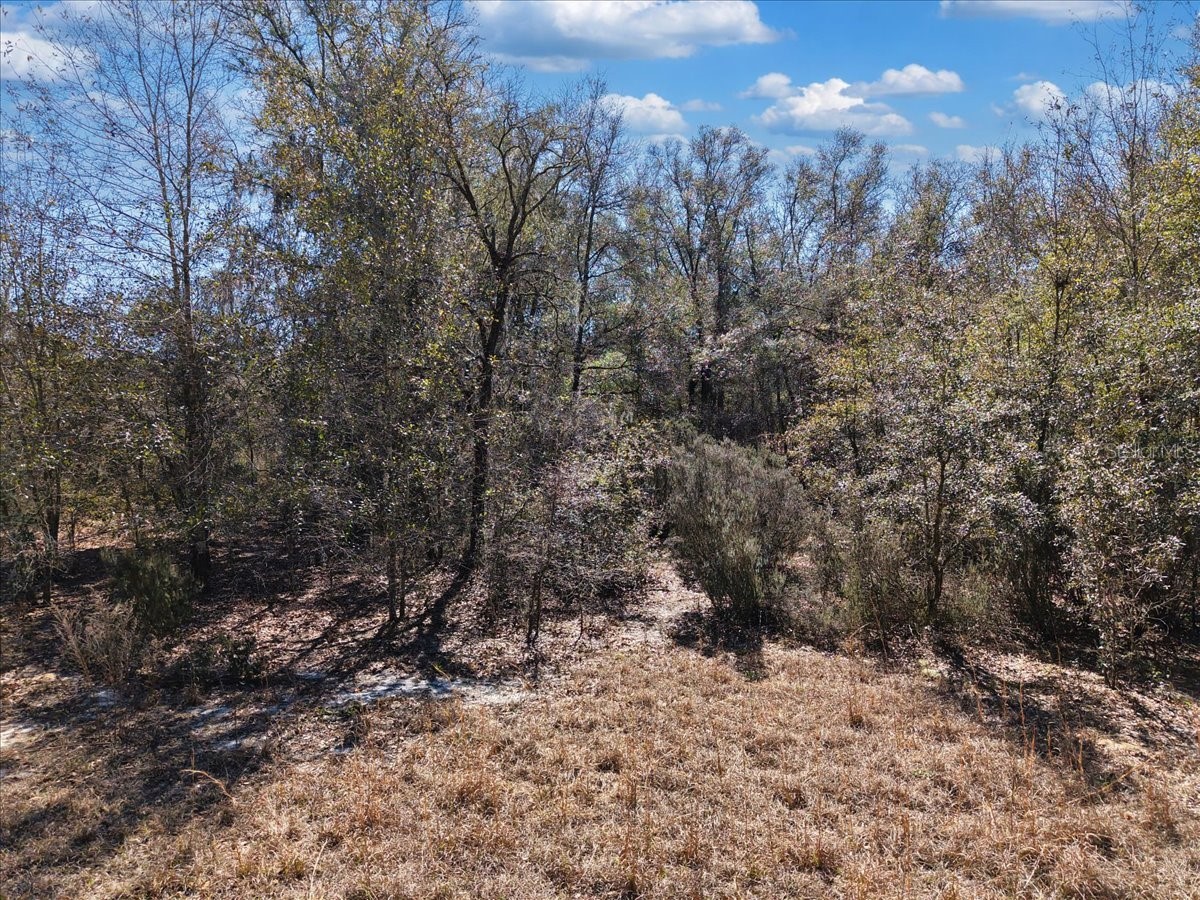 126th St Bronson FL 32621 GC538574 image14