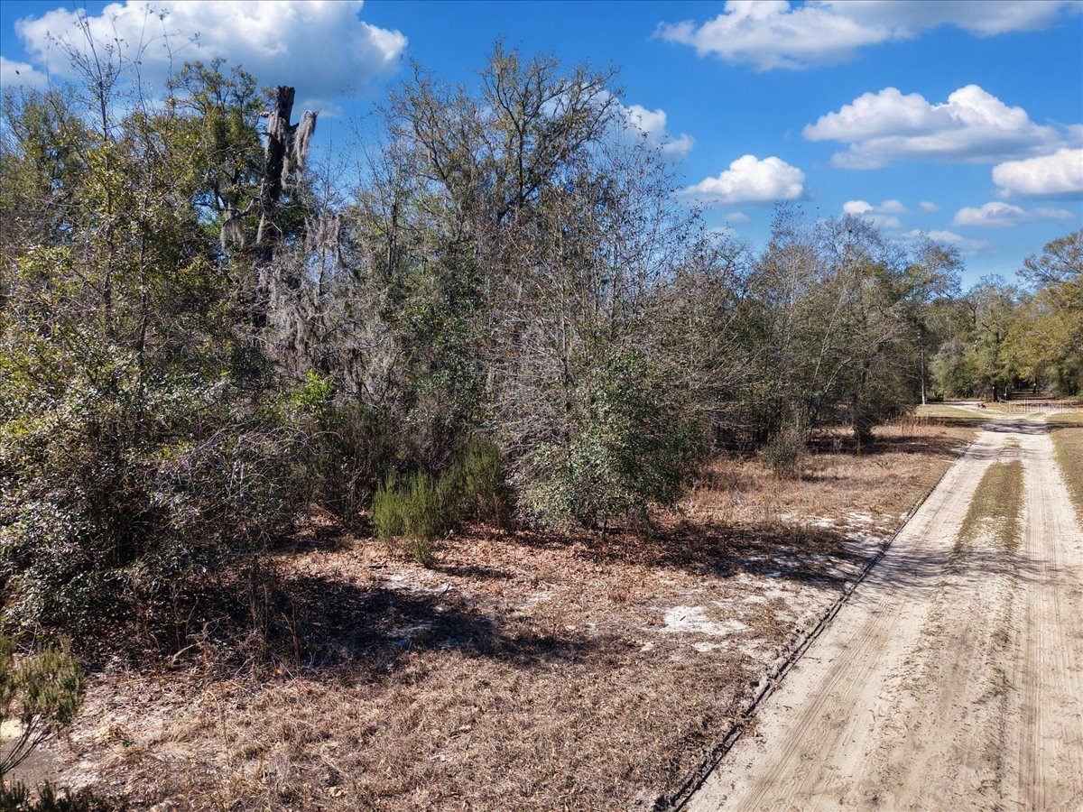 126th St Bronson FL 32621 GC538574 image16