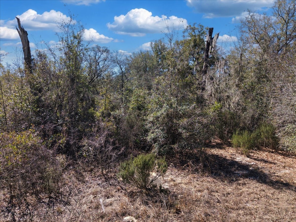 126th St Bronson FL 32621 GC538574 image17