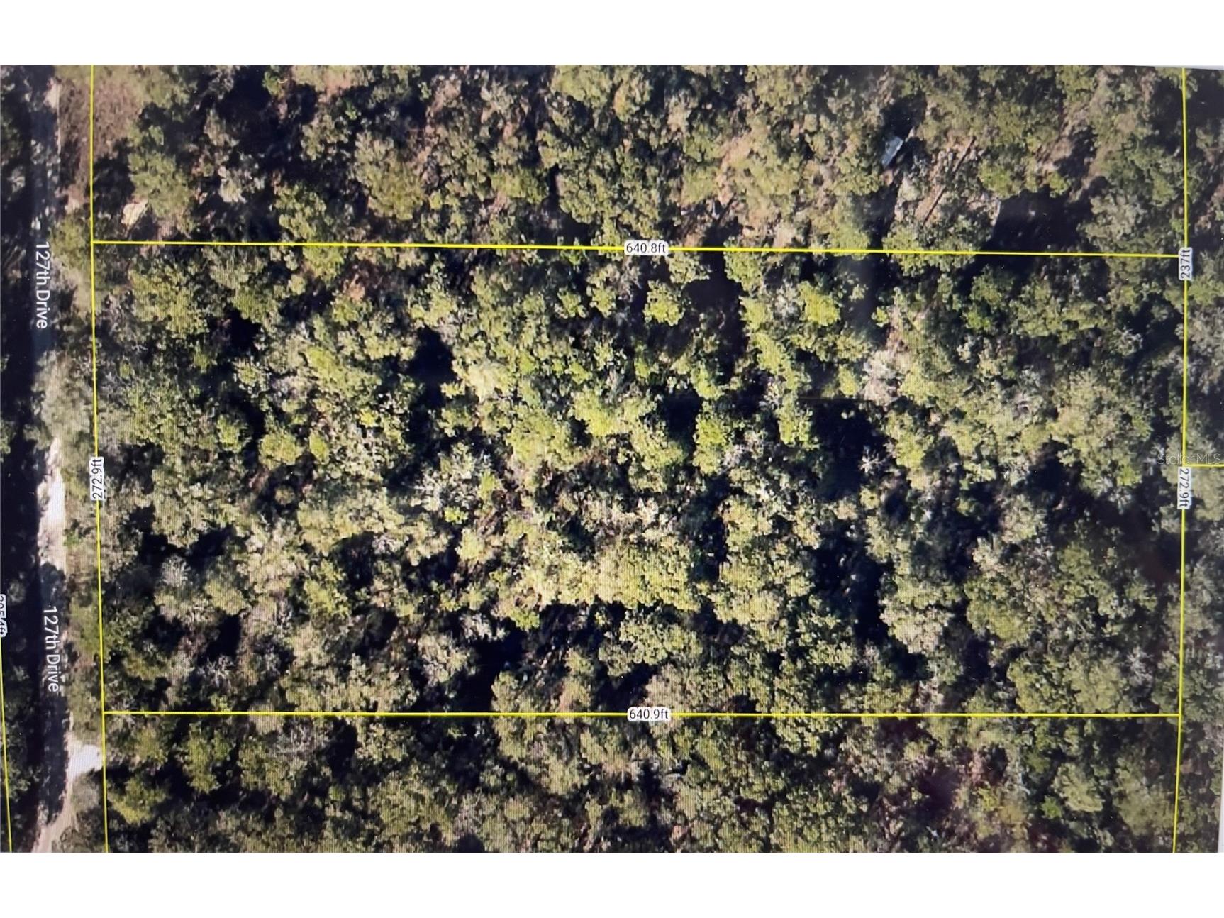 127th Drive O'Brien FL 32071 G5098182 image1