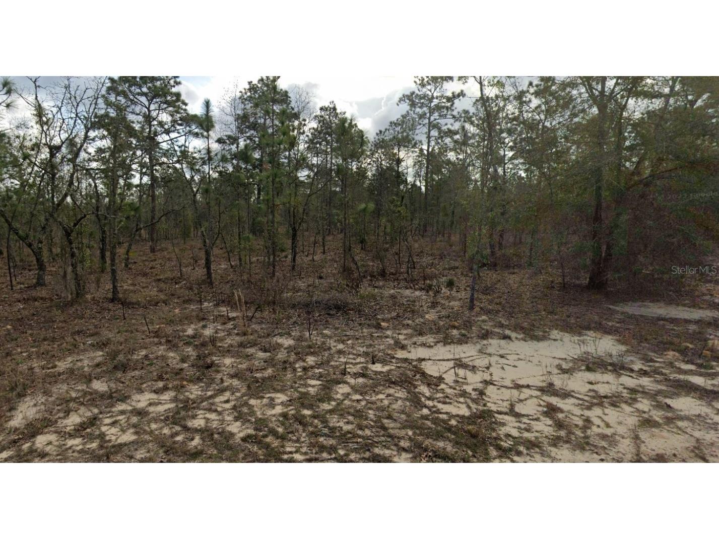 128 15th Street Interlachen FL 32148 O6271455 image6