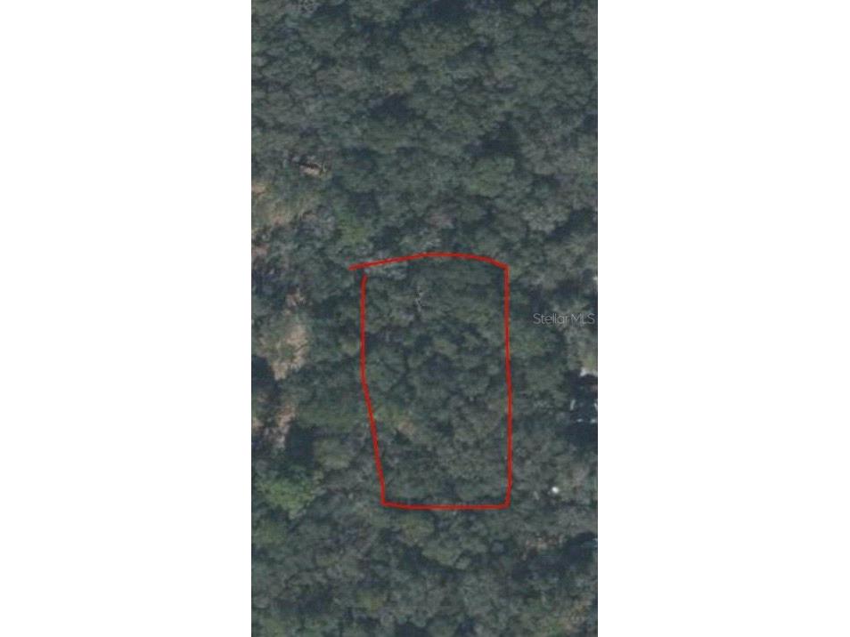 128th Place Chiefland FL 32626 O6404810 image1