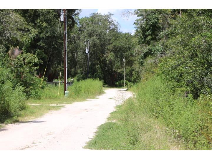 129th Boulevard Webster FL 33597 O6336043 image1