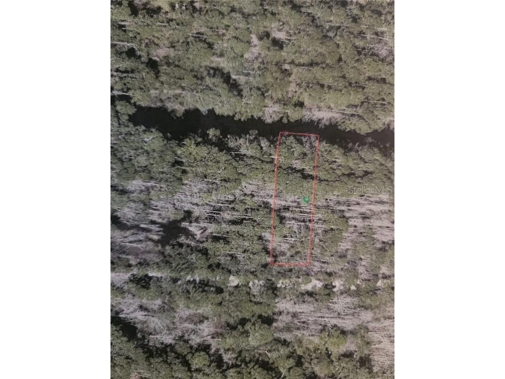 12th Ave Deland Deland FL 32724 V4933960 image10