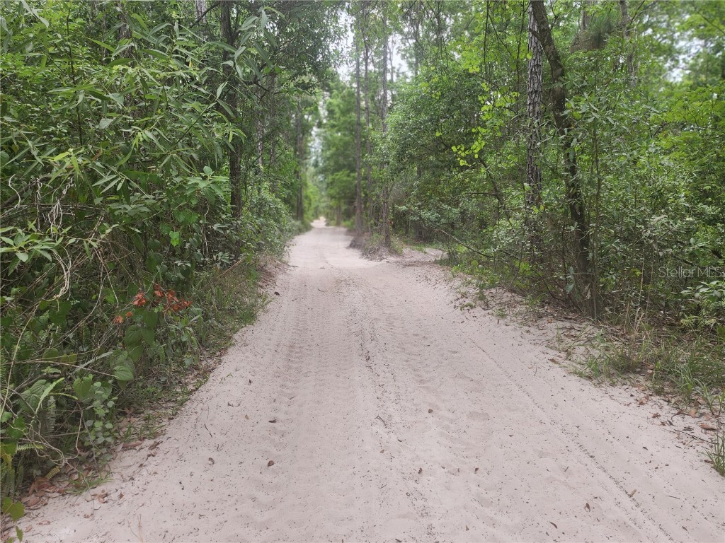 12th Ave Deland Deland FL 32724 V4933960 image2