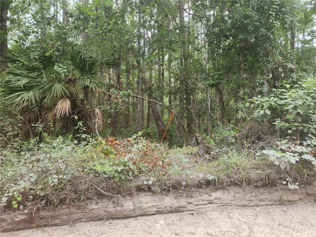 12th Ave Deland Deland FL 32724 V4933960 image7