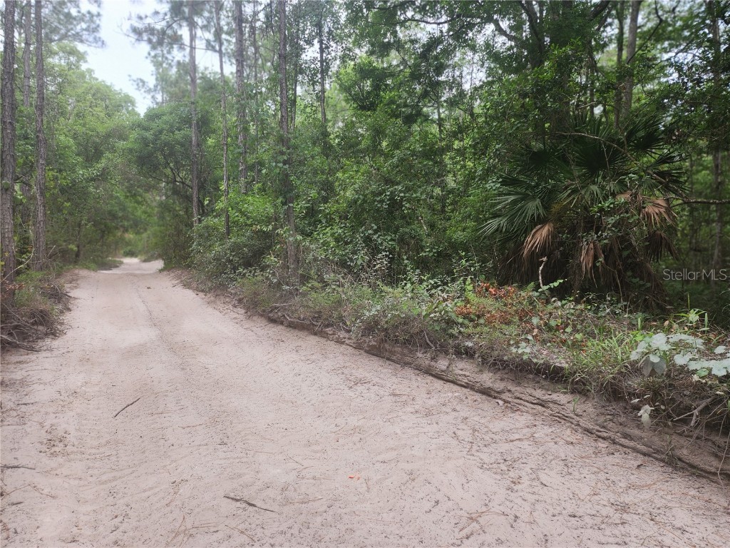 12th Ave Deland Deland FL 32724 V4933960 image9