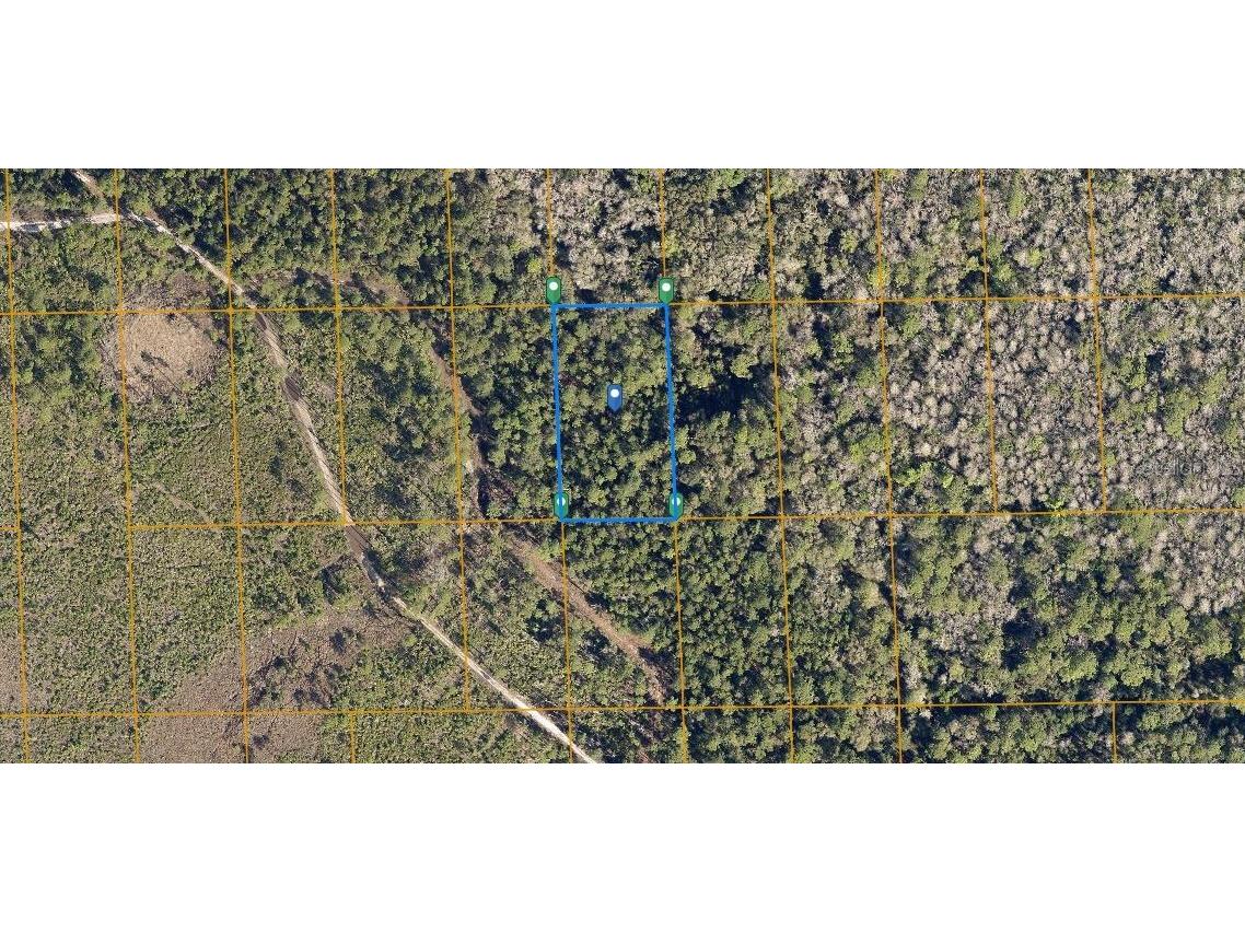 12th Ave Deland FL 32724 O6230390 image1