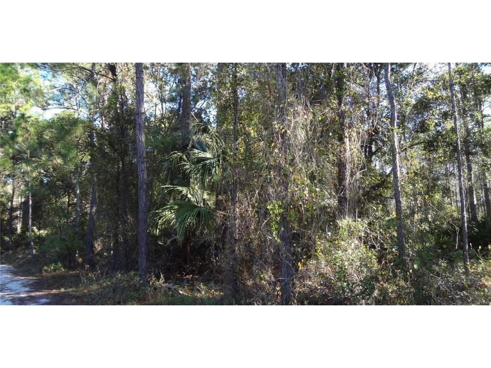 12th Ave Deland FL 32724 O6230390 image2