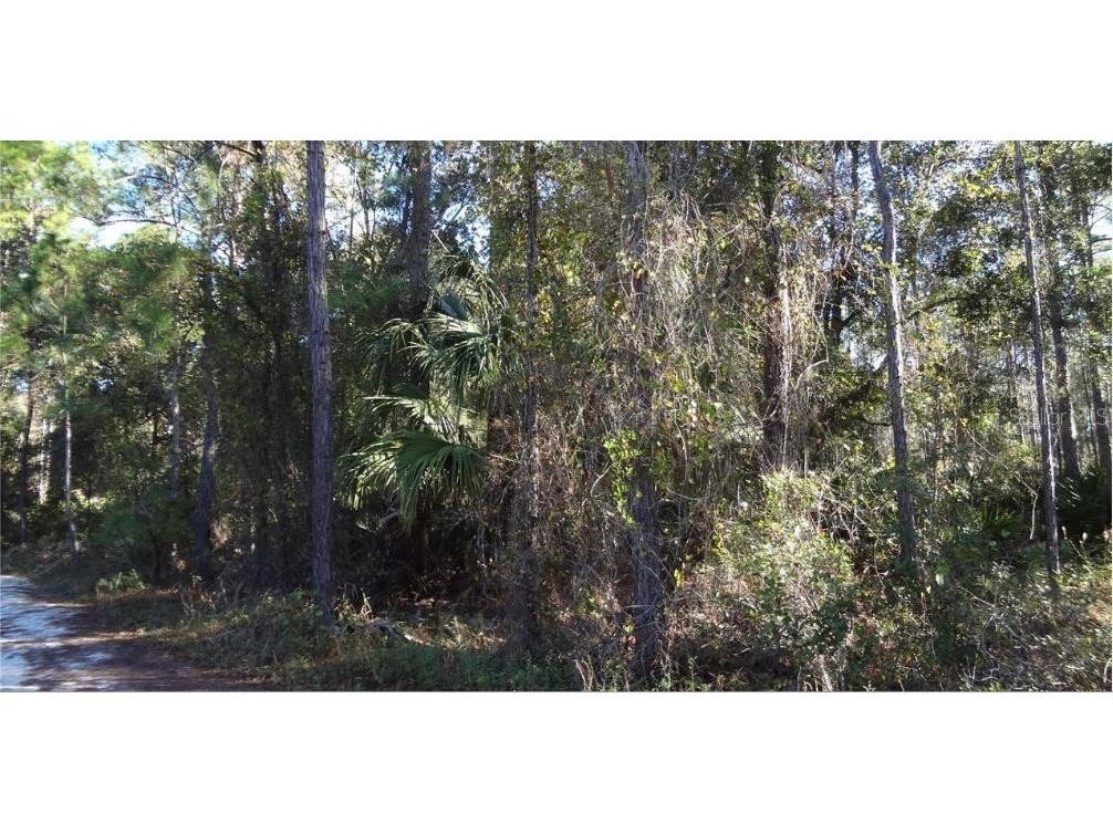 12th Ave Deland FL 32724 O6230401 image2
