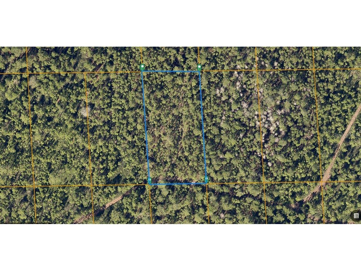 12th Ave Deland FL 32724 O6230402 image1