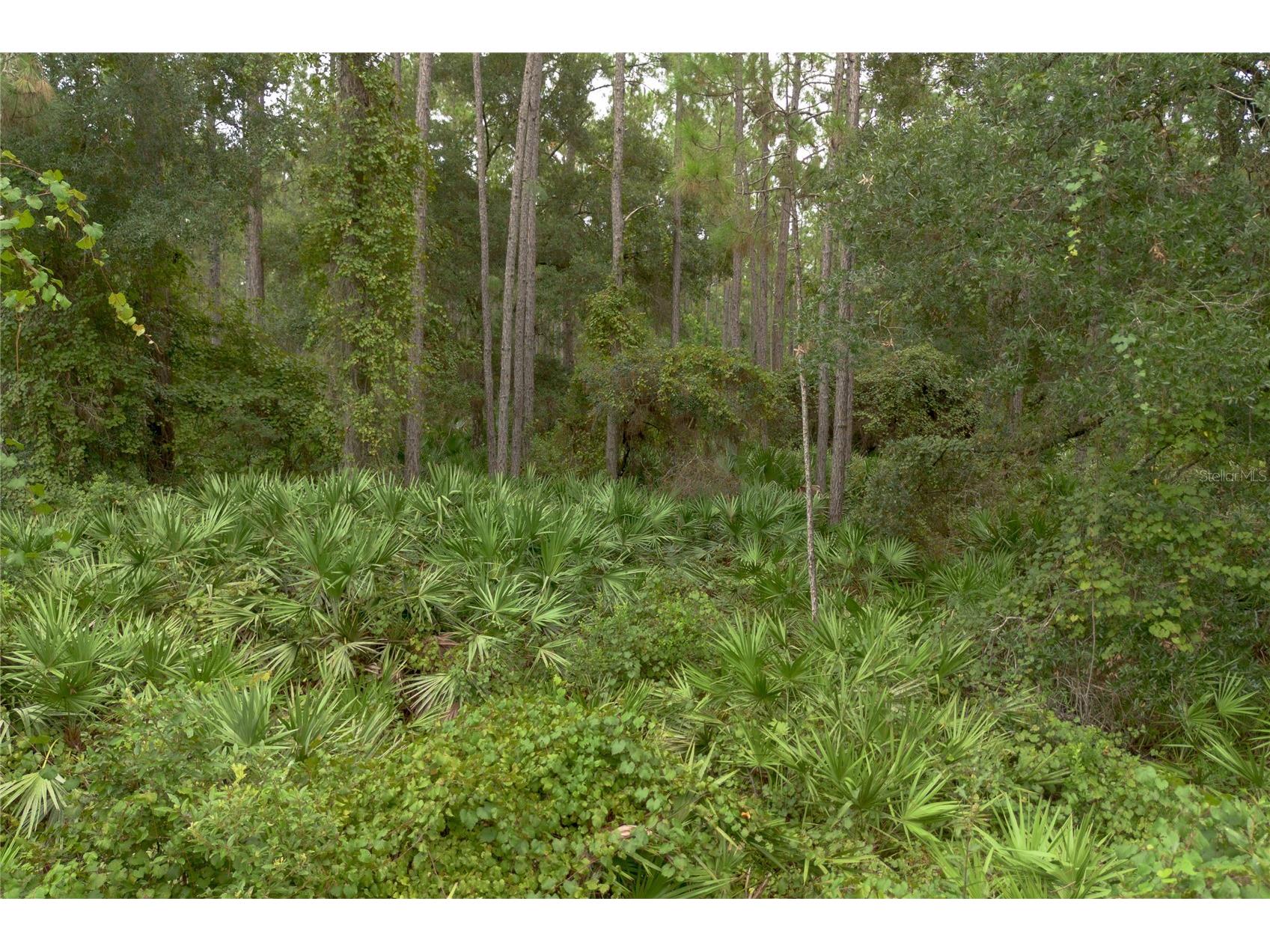 12th Ave Deland FL 32724 V4938430 image12