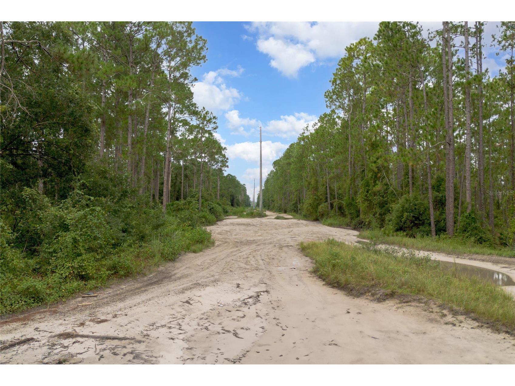 12th Ave Deland FL 32724 V4938430 image13