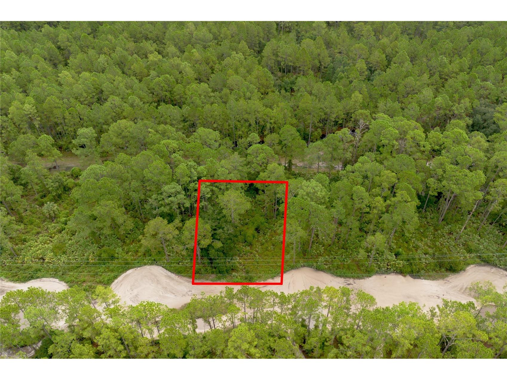 12th Ave Deland FL 32724 V4938430 image14