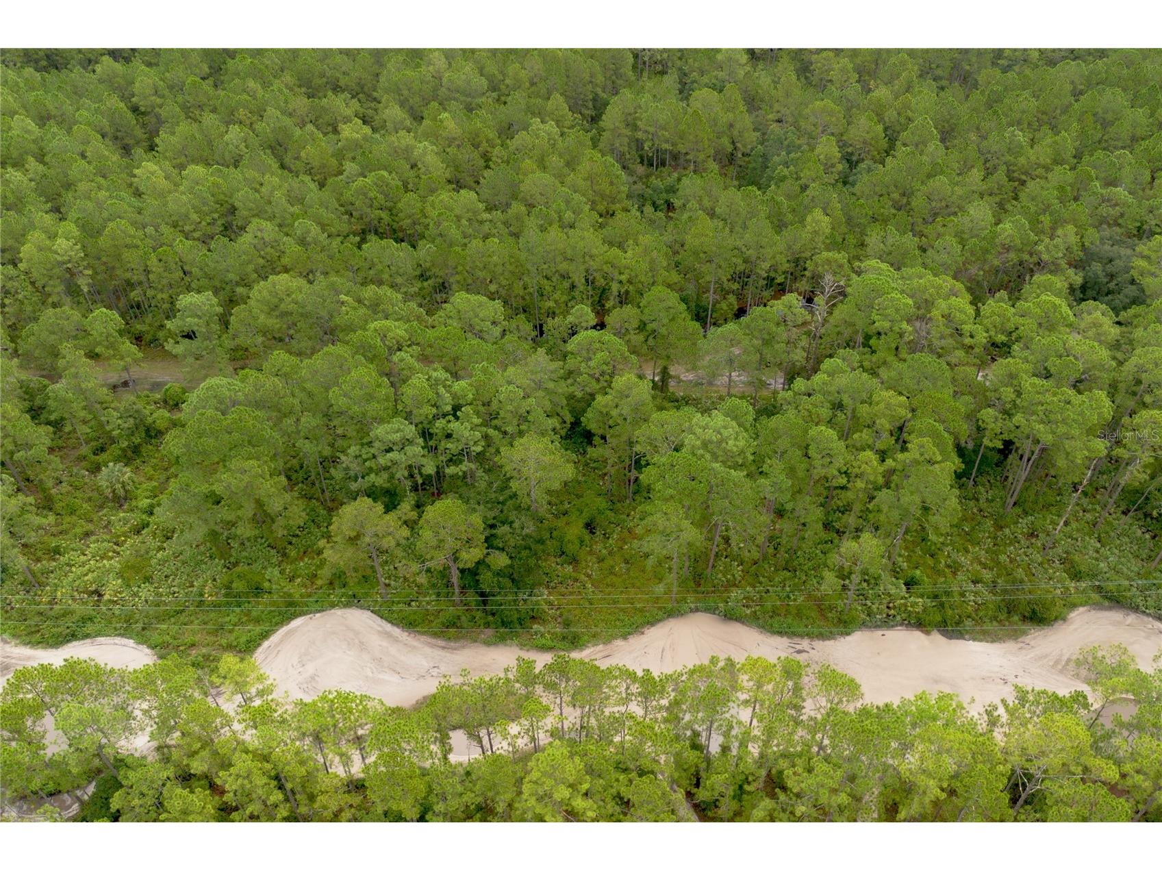 12th Ave Deland FL 32724 V4938430 image2