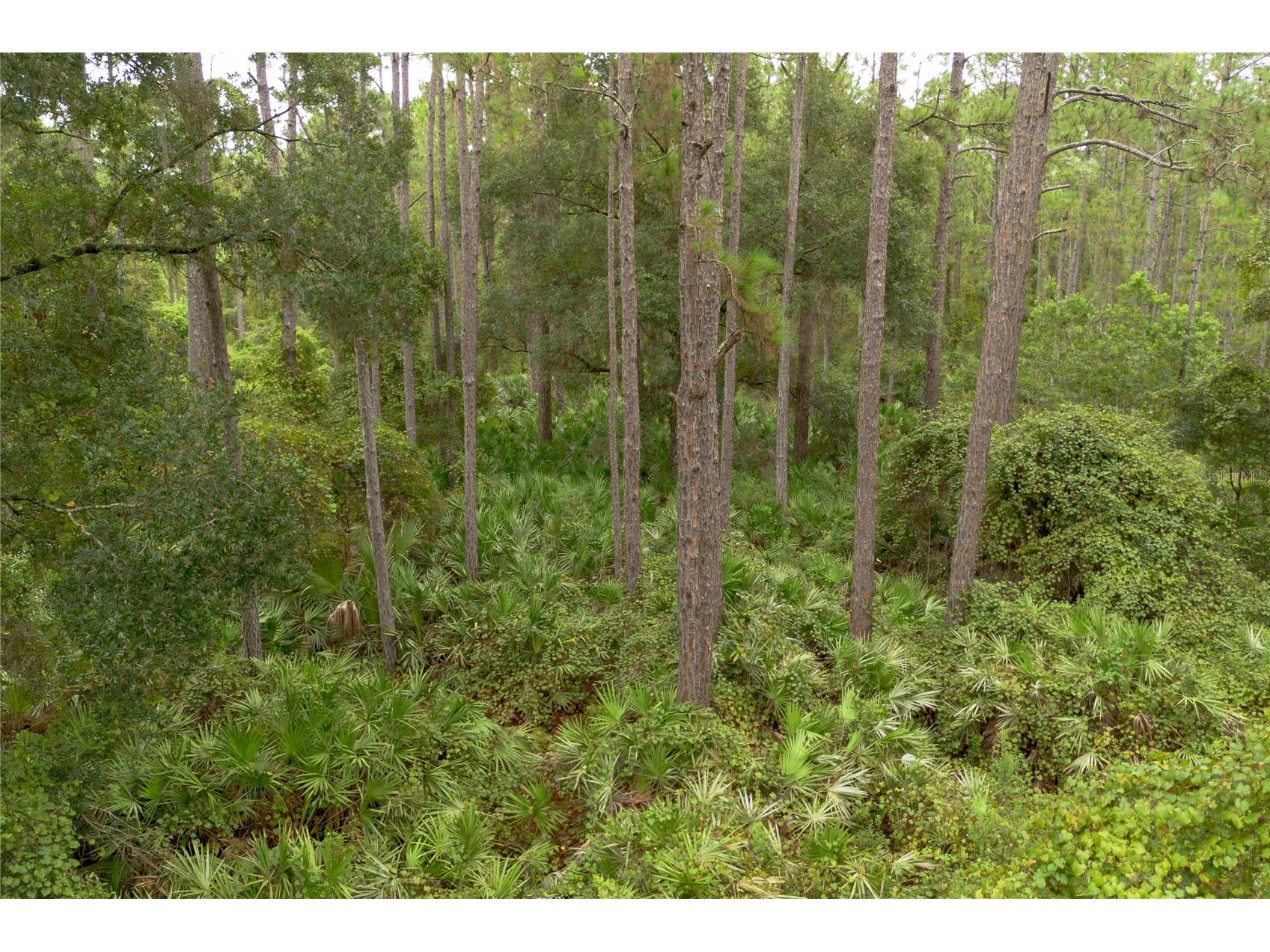 12th Ave Deland FL 32724 V4938430 image3