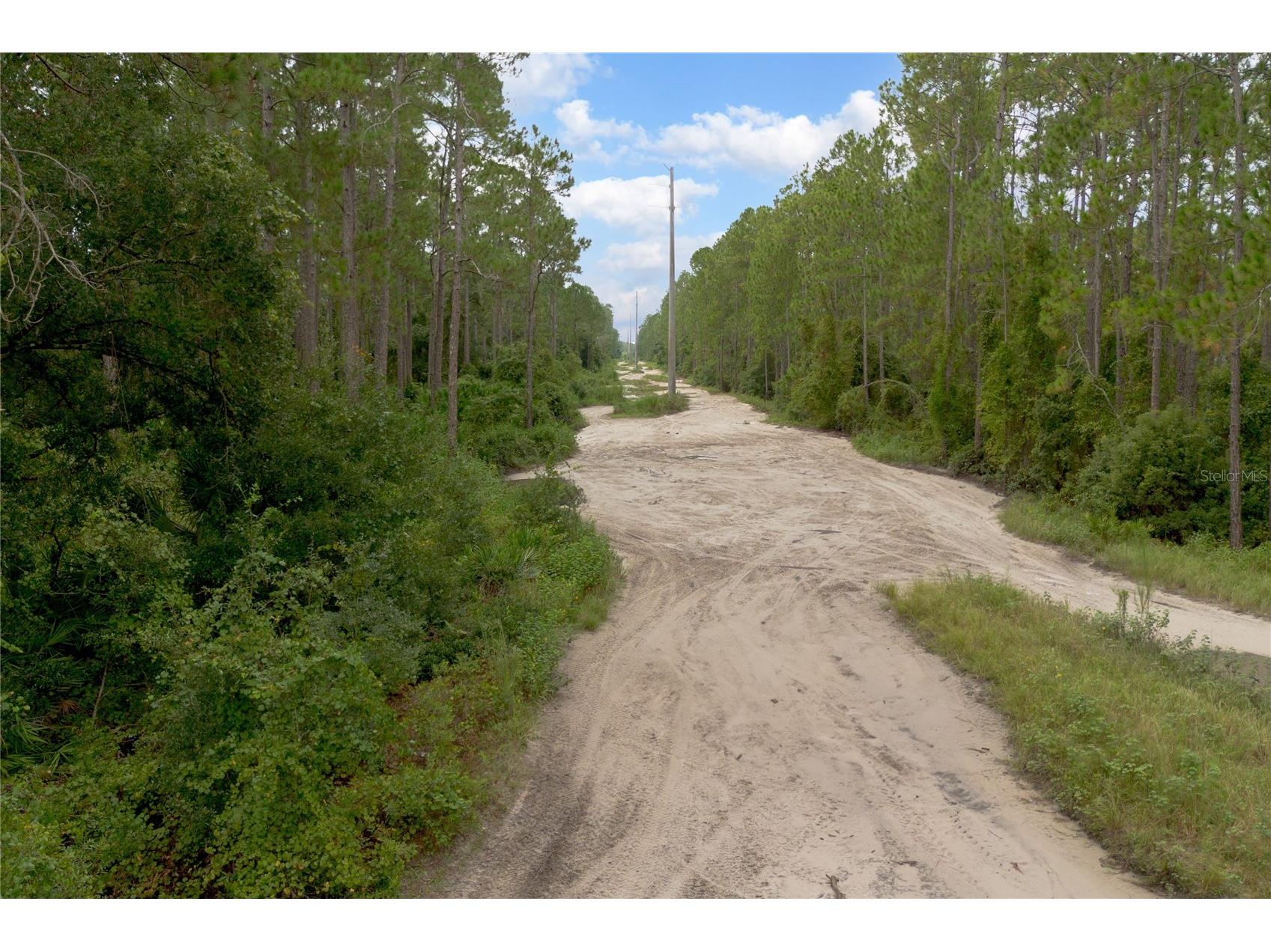 12th Ave Deland FL 32724 V4938430 image4