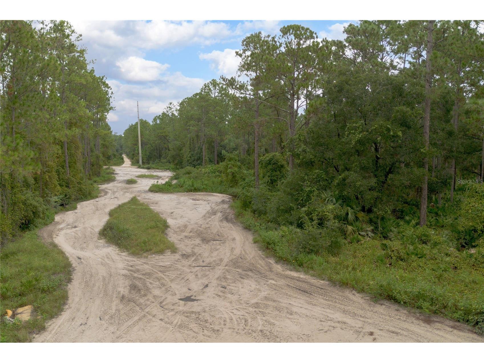 12th Ave Deland FL 32724 V4938430 image5