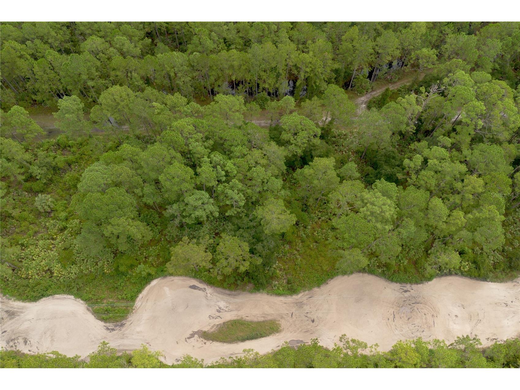 12th Ave Deland FL 32724 V4938430 image6