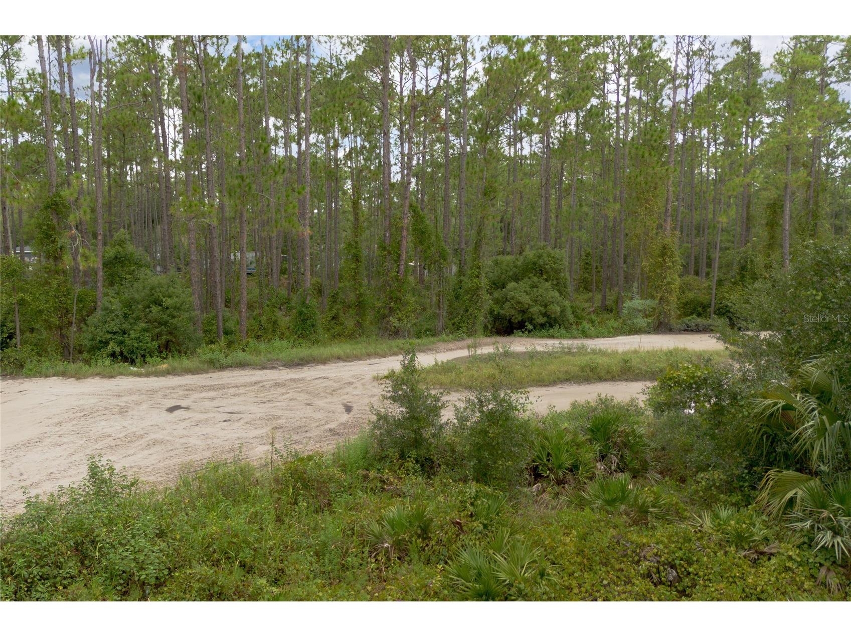 12th Ave Deland FL 32724 V4938430 image7