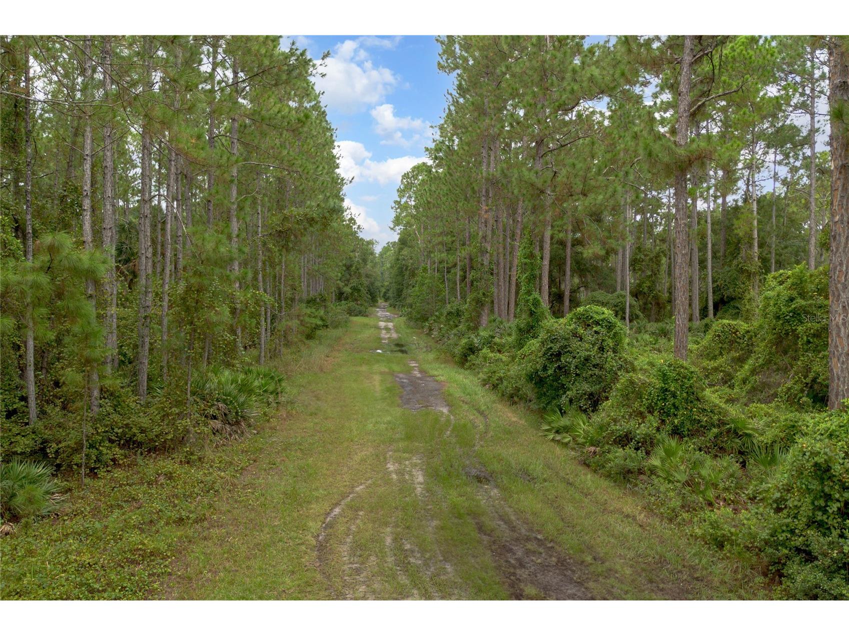 12th Ave Deland FL 32724 V4938430 image8