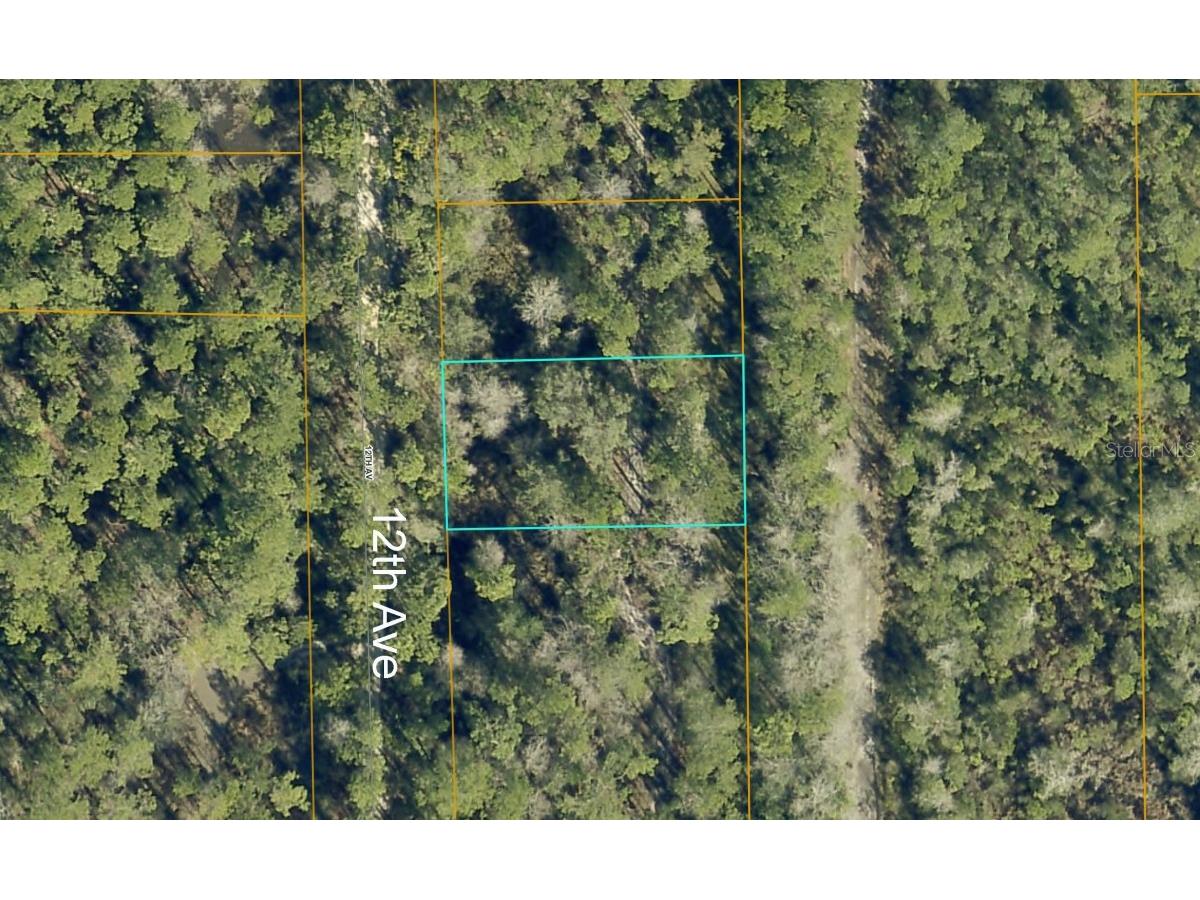 12th Avenue Deland FL 32724 A4573948 image1