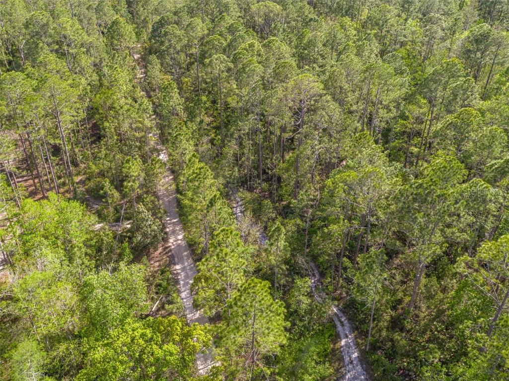 12th Avenue Deland FL 32724 T3503635 image1