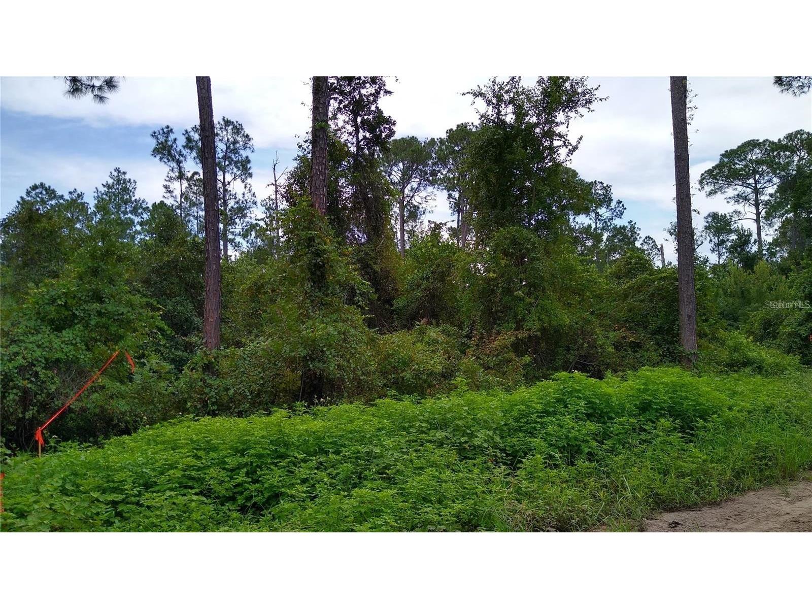 12th Avenue Deland FL 32724 O6377863 image1