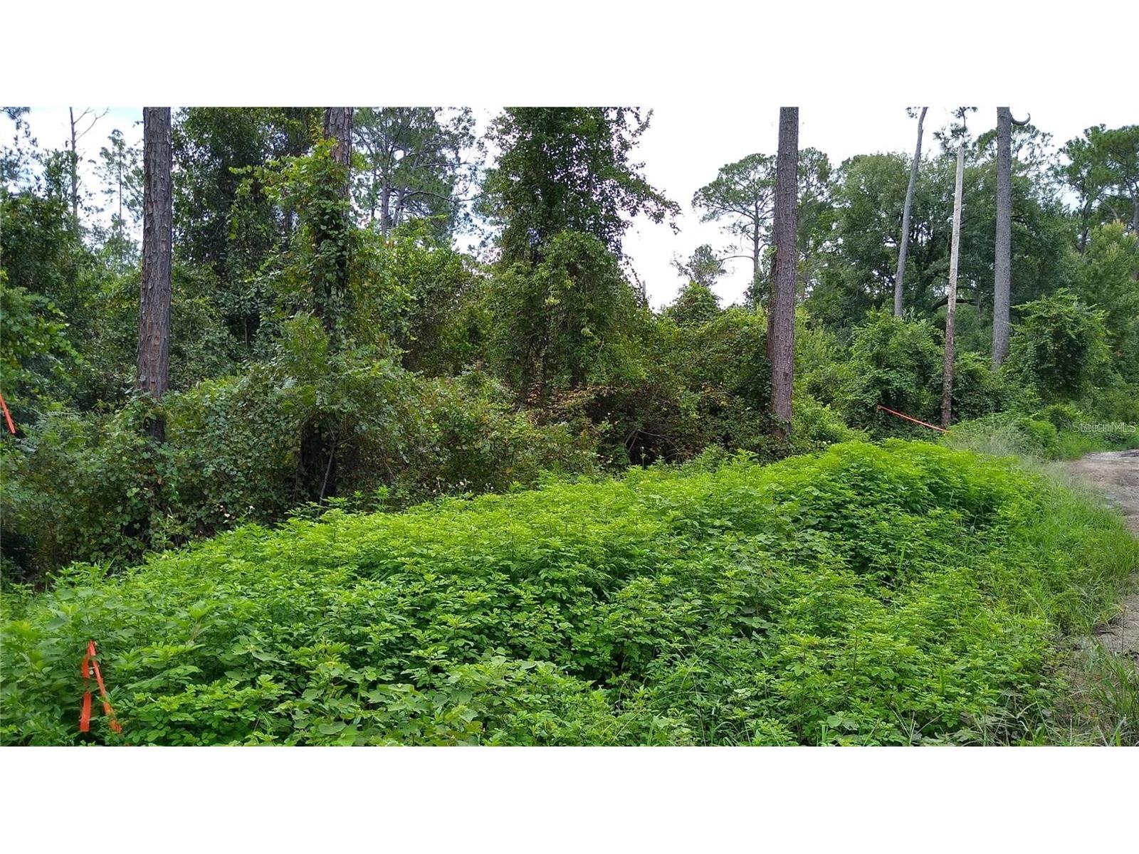 12th Avenue Deland FL 32724 O6377863 image2