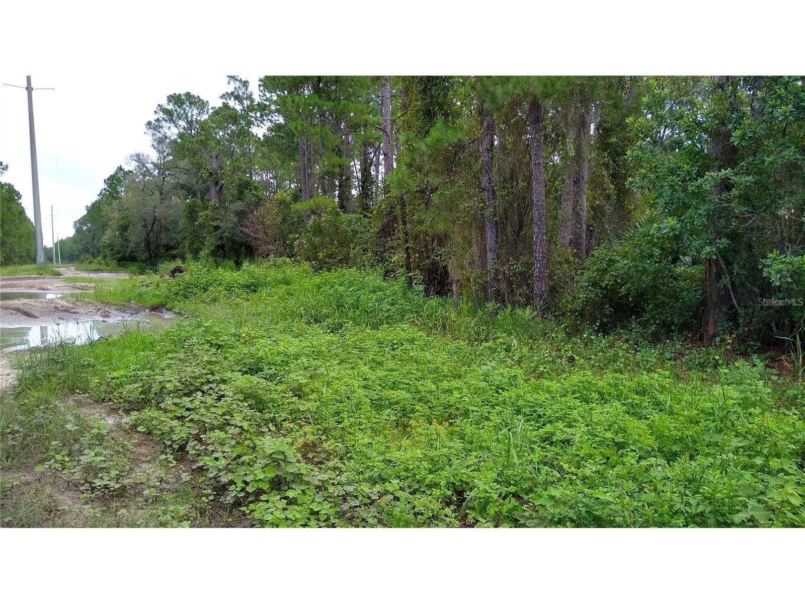 12th Avenue Deland FL 32724 O6377863 image3