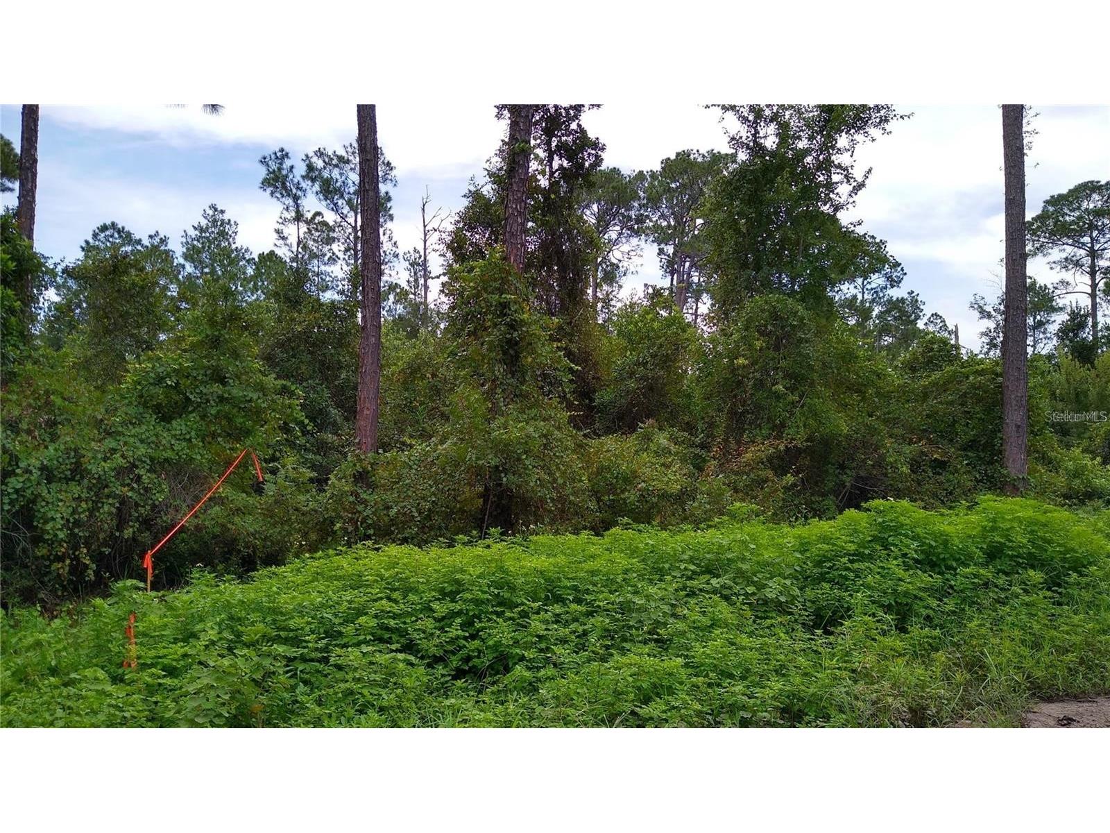 12th Avenue Deland FL 32724 O6377863 image4