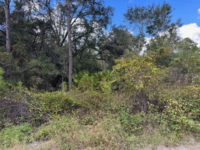 12th Avenue Deland FL 32724 V4945764 image1