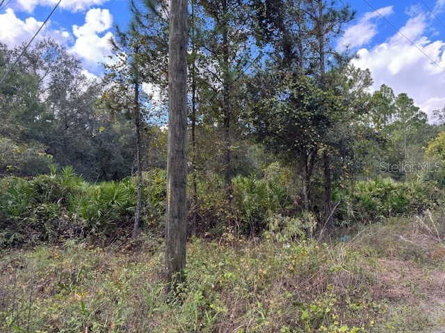 12th Avenue Deland FL 32724 V4945764 image2