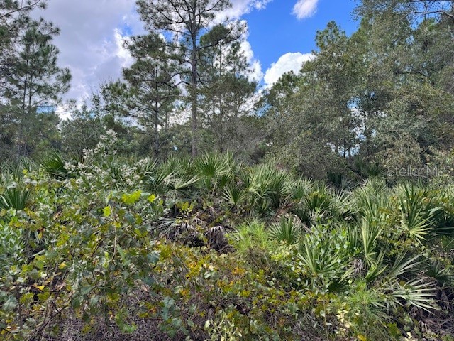 12th Avenue Deland FL 32724 V4945773 image1