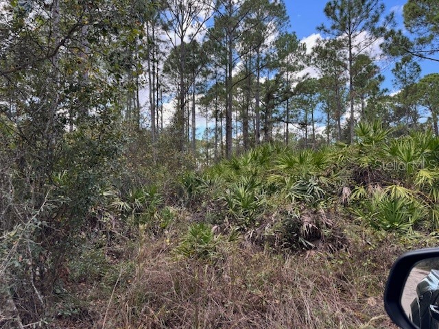 12th Avenue Deland FL 32724 V4945776 image1