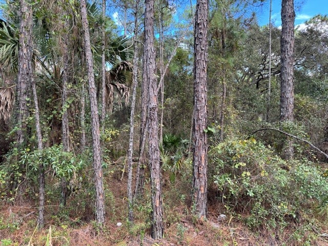 12th Avenue Deland FL 32724 V4945779 image1