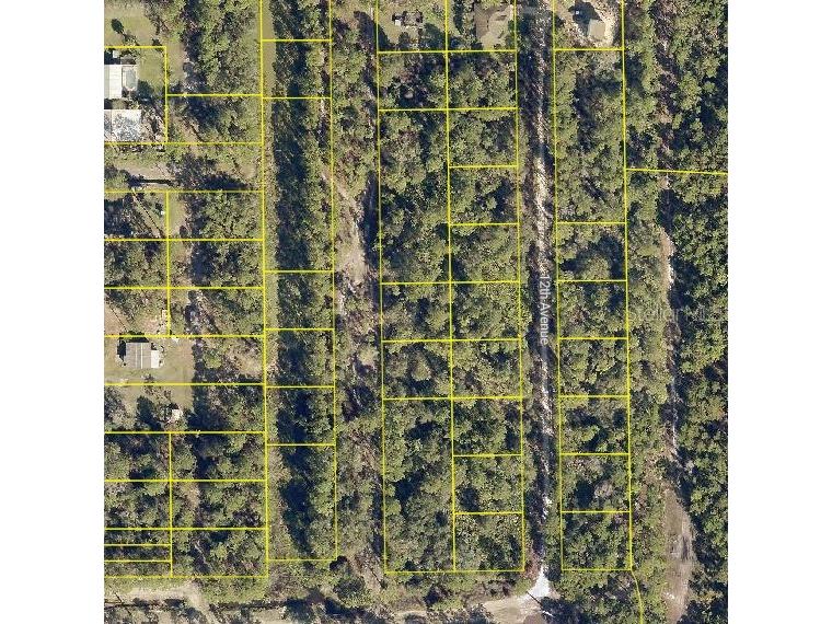 12th Street Deland FL 32724 O6352340 image5