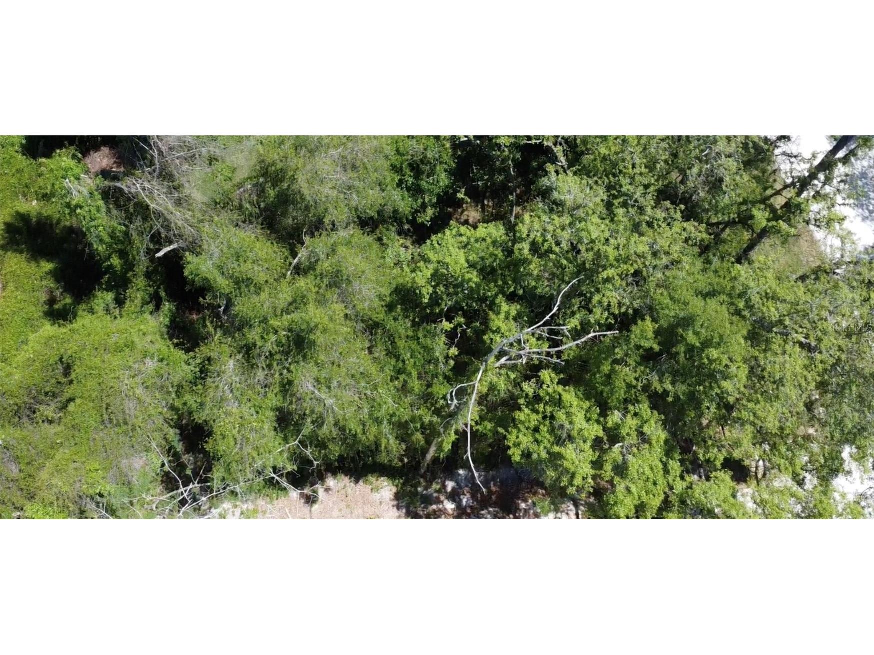 12th Street Orange City FL 32763 O6299359 image10