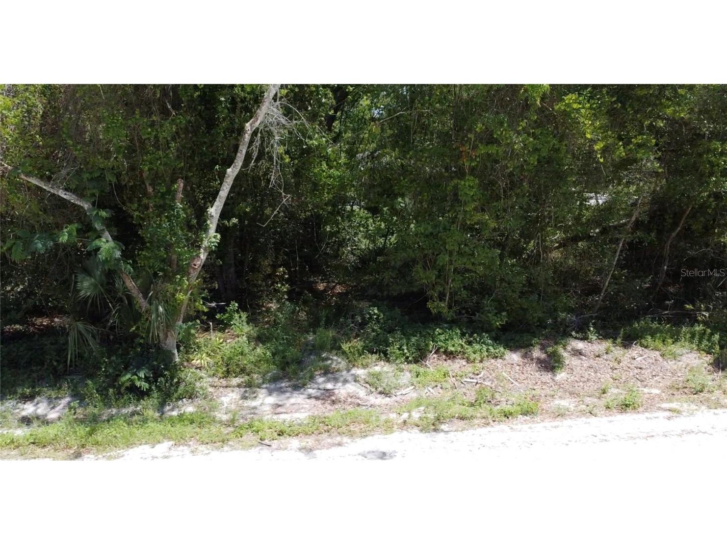 12th Street Orange City FL 32763 O6299359 image11