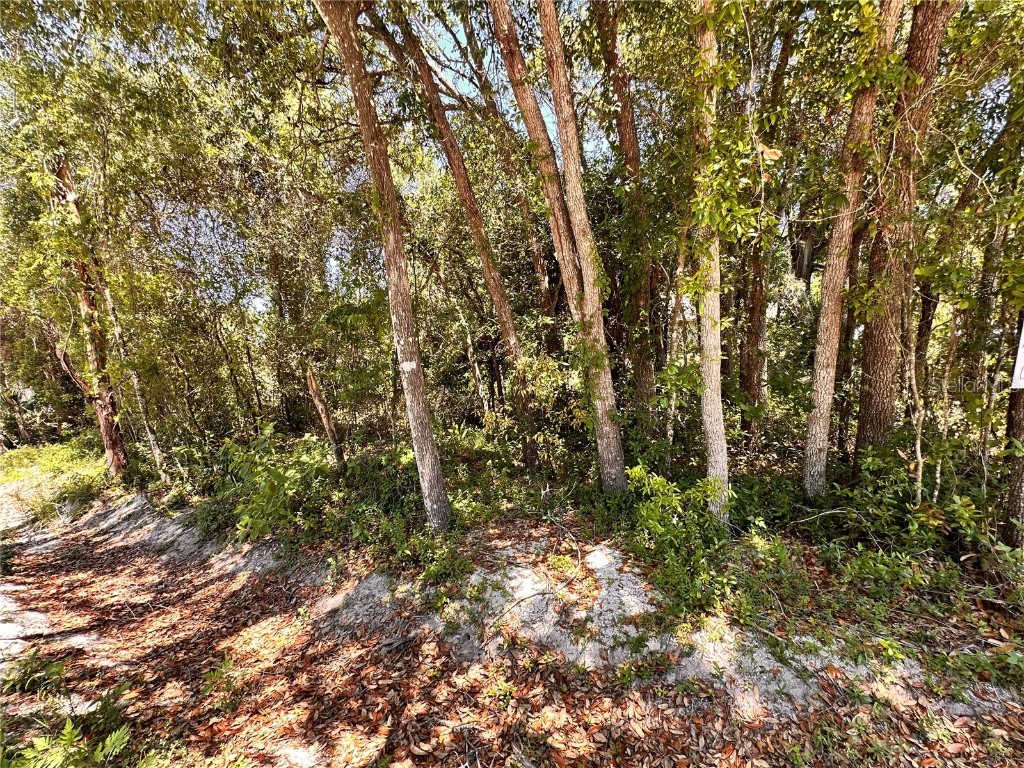 12th Street Orange City FL 32763 O6299359 image2