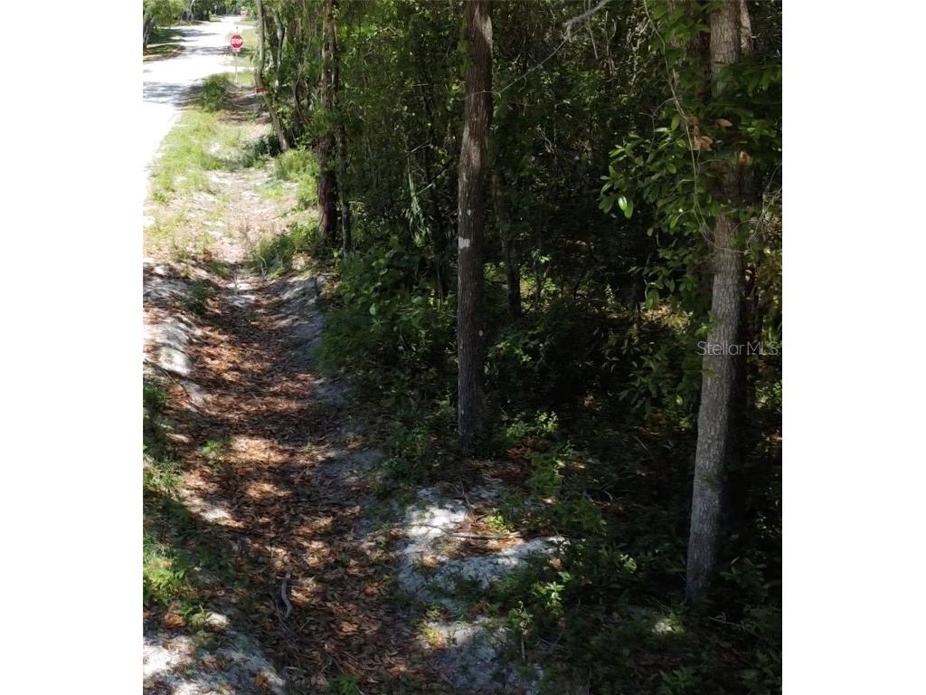 12th Street Orange City FL 32763 O6299359 image3