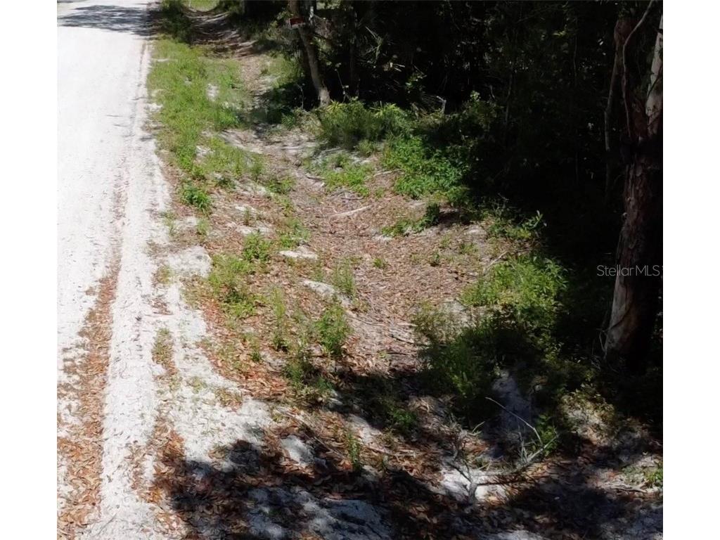 12th Street Orange City FL 32763 O6299359 image5