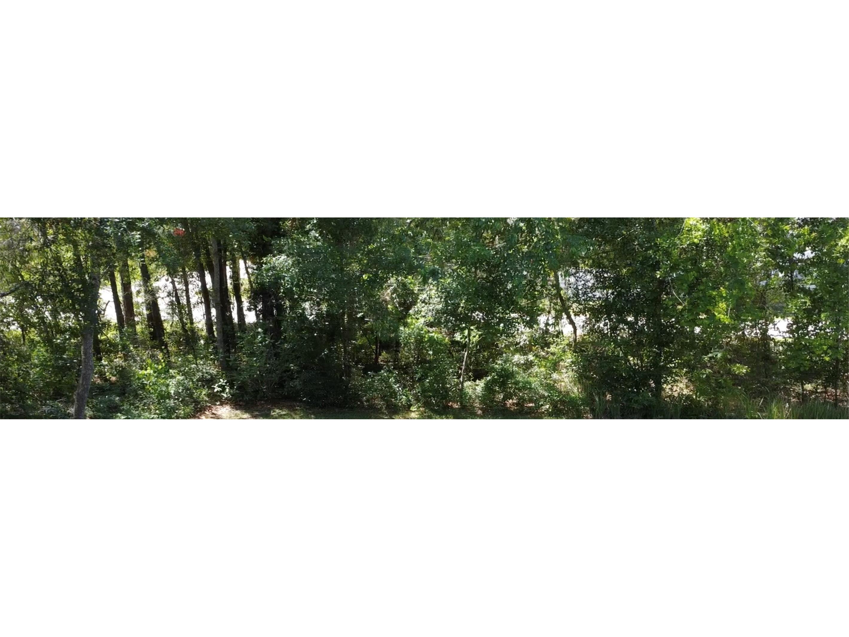 12th Street Orange City FL 32763 O6299359 image6