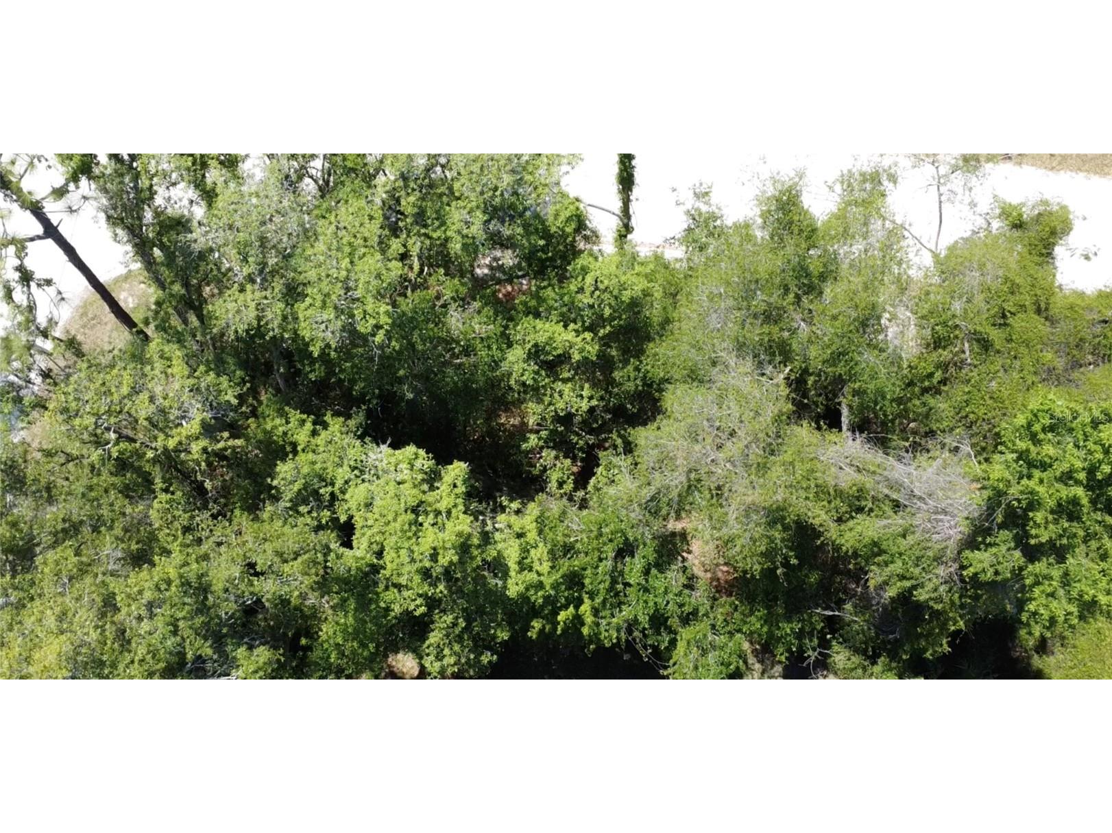 12th Street Orange City FL 32763 O6299359 image7