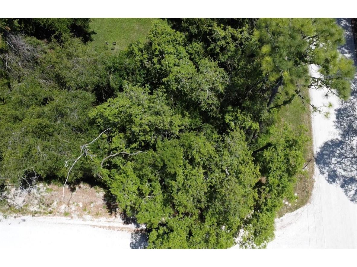 12th Street Orange City FL 32763 O6299359 image8